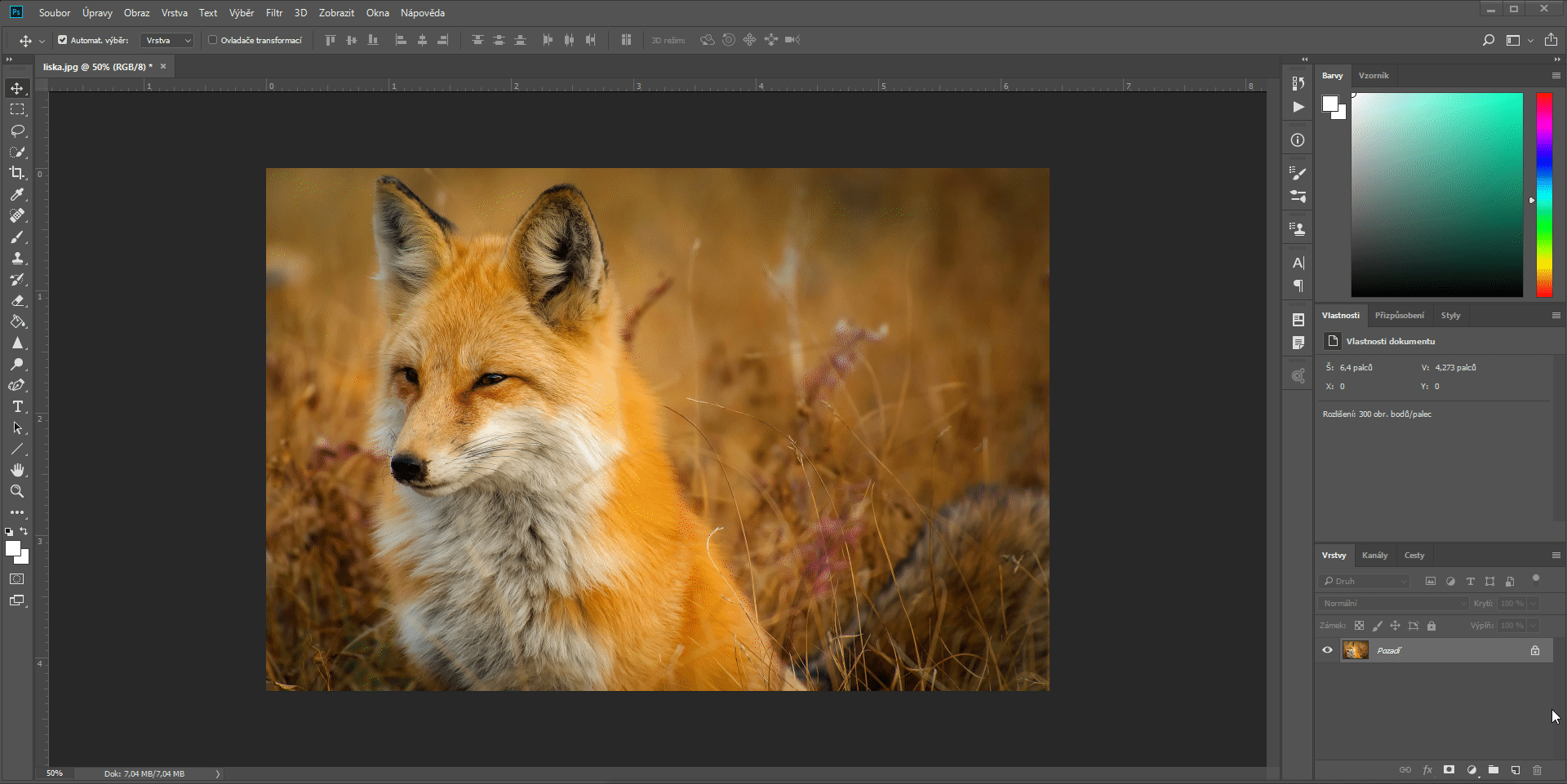 Postup pre aplikáciu filtra Doostriť v Adobe Photoshop - Základy Adobe Photoshop