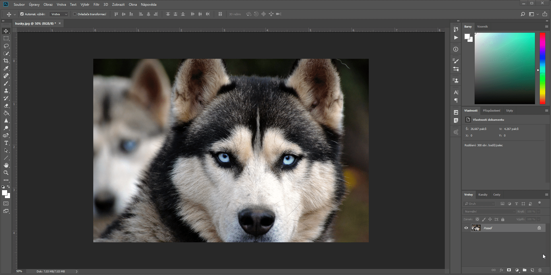Postup pre aplikáciu filtra Redukcia chvenie v Adobe Photoshop - Základy Adobe Photoshop