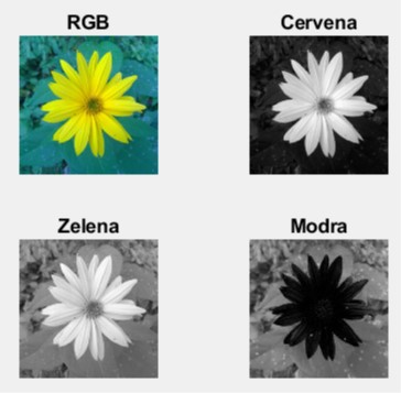 Jednotlivé farebné kanály obrázku kvetiny v MATLAB - Matlab
