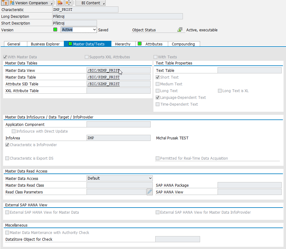 Záložka MASTER DATA / TEXTS v SAP - Sap