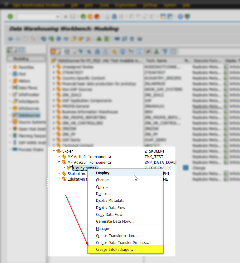 Vytvorenie nového InfoPackage v SAP - Sap