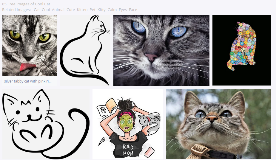 Vyhľadávanie „cool cat“ na Pixabay - Pygame