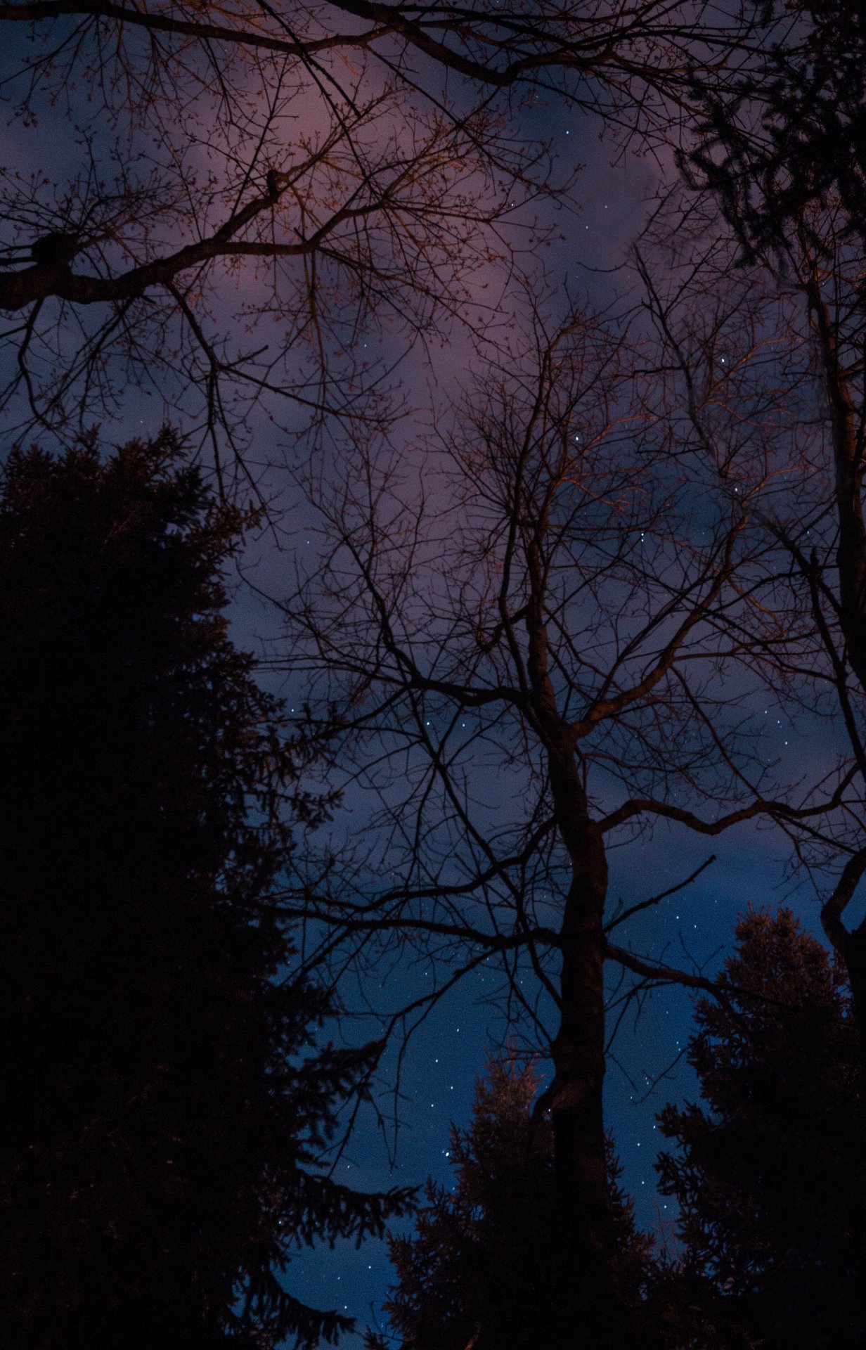 Nočná obloha - Fotografovanie pre začiatočníkov