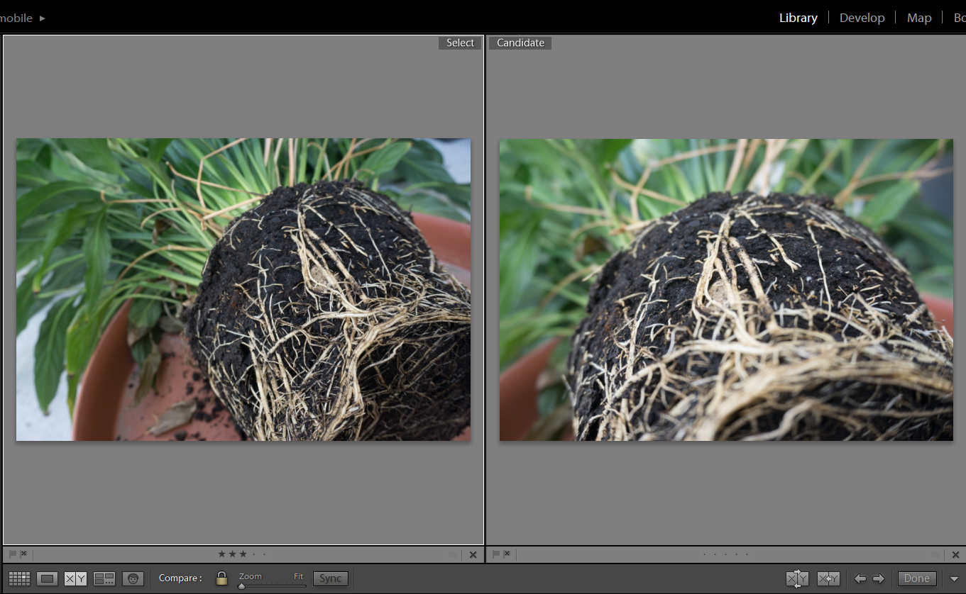 Lightroom porovnanie - Adobe Lightroom - Proces postprodukcia