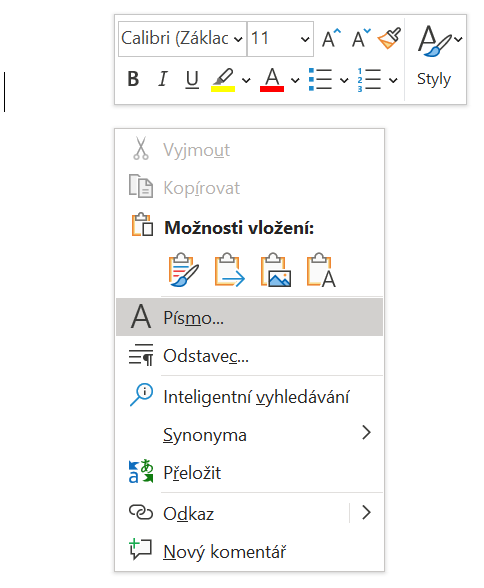 Základy Microsoft Word